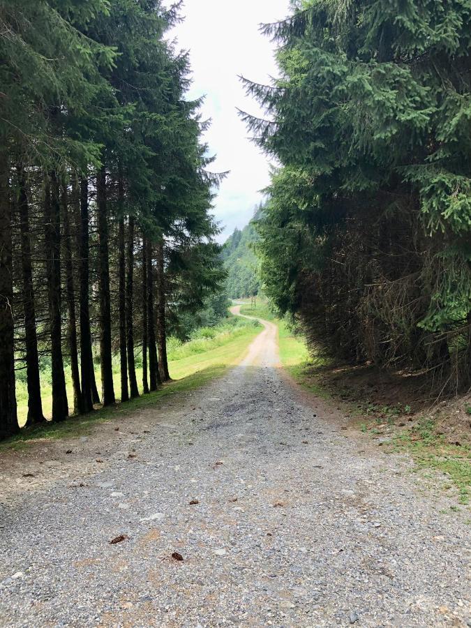 Chalet Riviere Du Bon Nant Location De 6 A 14 Personnes En Haute Savoie Saint-Gervais-les-Bains Eksteriør billede