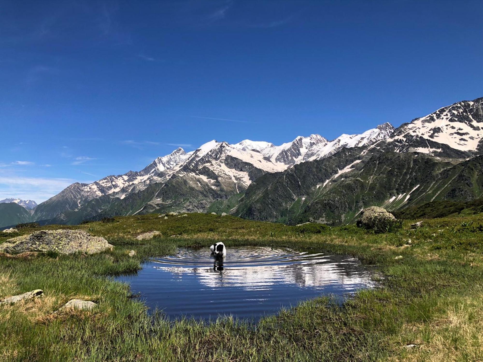 Chalet Riviere Du Bon Nant Location De 6 A 14 Personnes En Haute Savoie Saint-Gervais-les-Bains Eksteriør billede