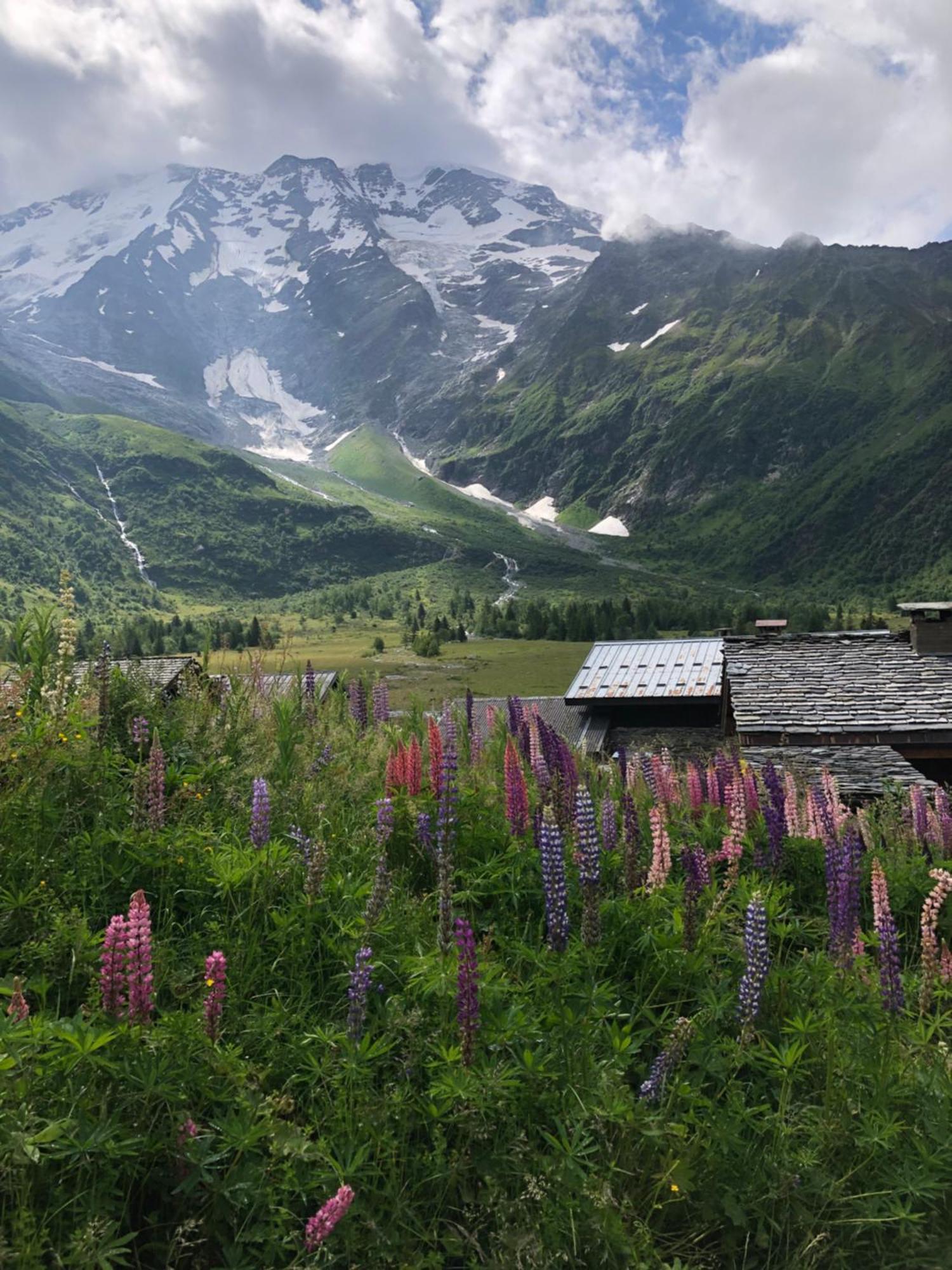 Chalet Riviere Du Bon Nant Location De 6 A 14 Personnes En Haute Savoie Saint-Gervais-les-Bains Eksteriør billede